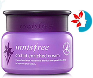 Innisfree Jeju Orchid Enriched Cream- 50ml